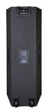 Peavey SP 4BX Passive Full Range Speaker - Audiofeen
