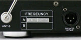 Technical Pro WM1001 Wireless Microphone System - Audiofeen