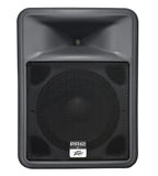 Peavey 583900 - PR 12 - Audiofeen