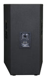 Peavey SP 2BX Passive Full Range Speaker - Audiofeen