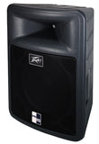 Peavey PR 15 Passive Full Range Speaker - Audiofeen