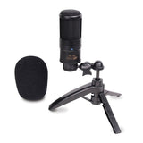 DJ Tech Jammin Pro C-10 Professional Large-Diaphragm Condenser Microphone - Audiofeen
