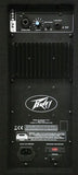Peavey PV215D Powered Full Range Speaker - Audiofeen