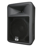 Peavey 583900 - PR 12 - Audiofeen