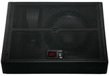 Peavey SP 15M Passive Floor Monitor - Audiofeen