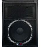 Peavey SP5 2-Way Pa Loudspeaker - Audiofeen