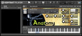 SONiVOX Anatomy - Audiofeen